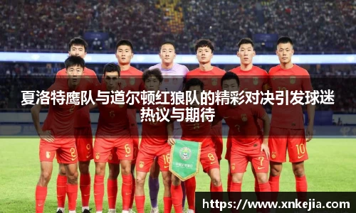 夏洛特鹰队与道尔顿红狼队的精彩对决引发球迷热议与期待